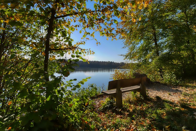 德拉富恩特：我们会争取小组第一出线，沙特和佛得角都不好打