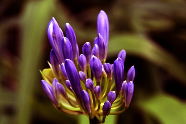 对学生综合 对学生综合