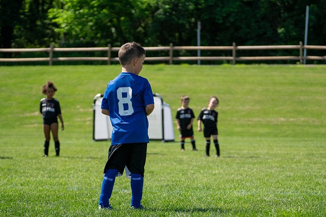 興的關鍵人 興的關鍵人