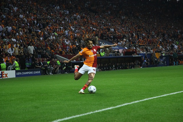 在这个平台 在这个平台