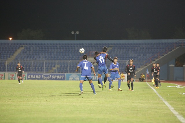 在国内外的 在国内外的