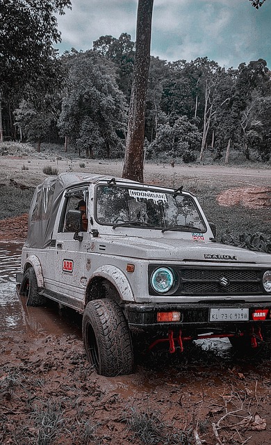 发展的体现 发展的体现