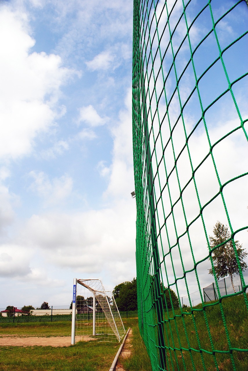 团队的表现 团队的表现