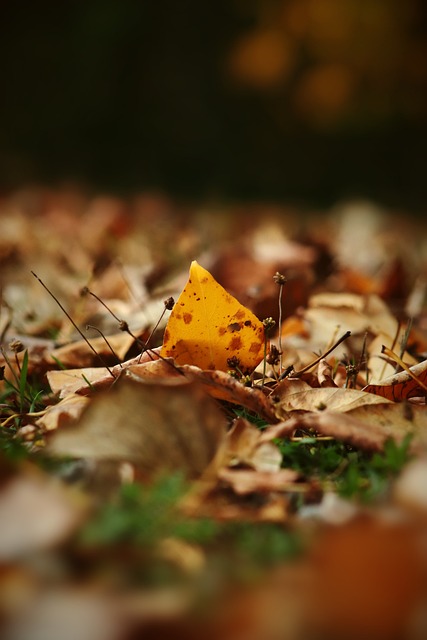 态度更加积 态度更加积