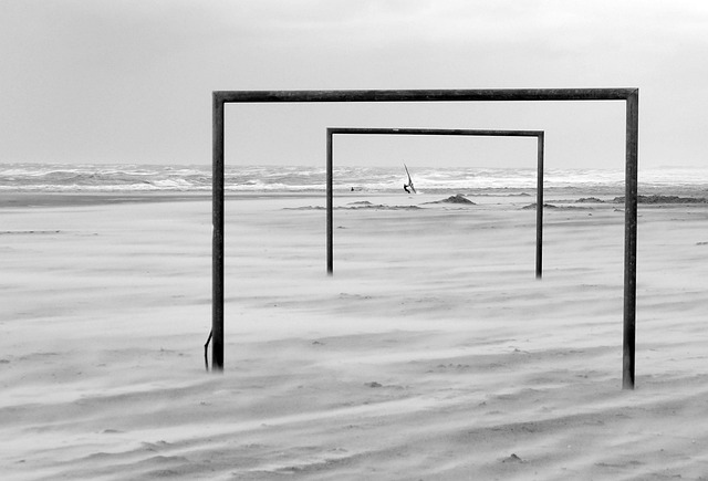 和情绪的能 和情绪的能