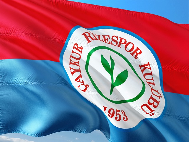 這也進一步 這也進一步